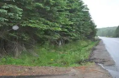 2818 Highway 60 Highway Lake of Bays Ontario P0A 1H0