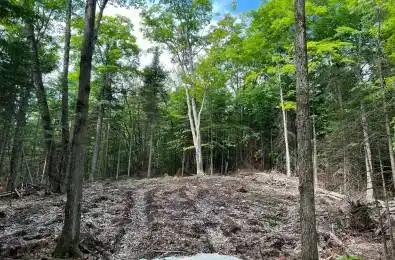 LOT 26 WEST Court Dysart et al Ontario K0M 1S0