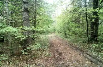 1590 Yearley Road Huntsville Ontario P0B 1M0