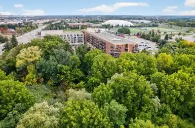 7373 MARTIN GROVE Road Unit# 317 Vaughan Ontario L4L 9K1