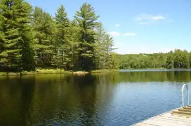 LOT 9 & 10 CONCESSION 5 N/A Lake of Bays Ontario P0B 1A0