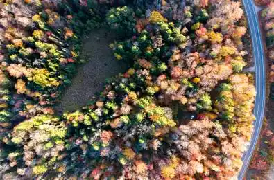 2594 Livingstone Lake Road Algonquin Highlands Ontario P0A 1E0