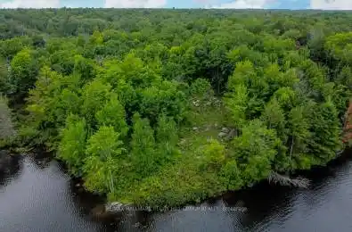 52 Hawkins Point Road Georgian Bay Ontario P0C 1H0