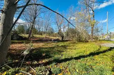 285 Main Street Guelph/Eramosa Ontario N0B 2K0