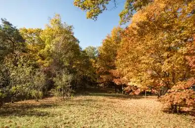 14190 Yonge Street Aurora Ontario L4G 0P5