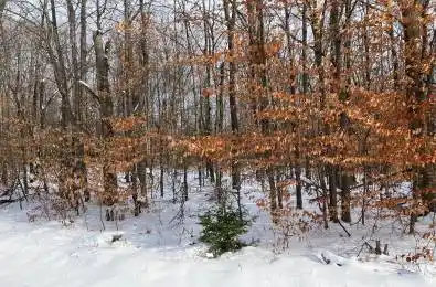 00 Siberia Road Madawaska Valley Ontario K0J 1B0