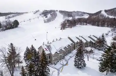 796404 Grey Road 19 N/A Unit# 101 Blue Mountains Ontario L9Y 0N8