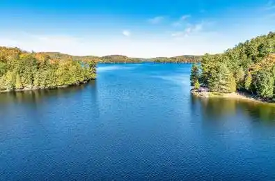 0 Thompson Portage Road Lake of Bays Ontario P0A 1H0