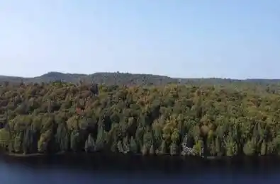 1448-2 WEST OXBOW LAKE Road Lake of Bays Ontario P1H 2J6