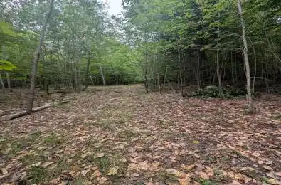 00 Kamaniskeg Lake Road Hastings Highlands Ontario K0J 1L0