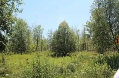 0 Metro Road Georgina Ontario L4P 3G1